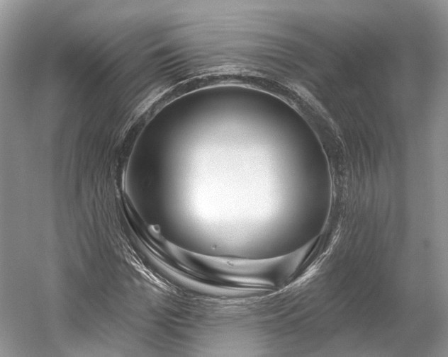 X0000059840969200510241433