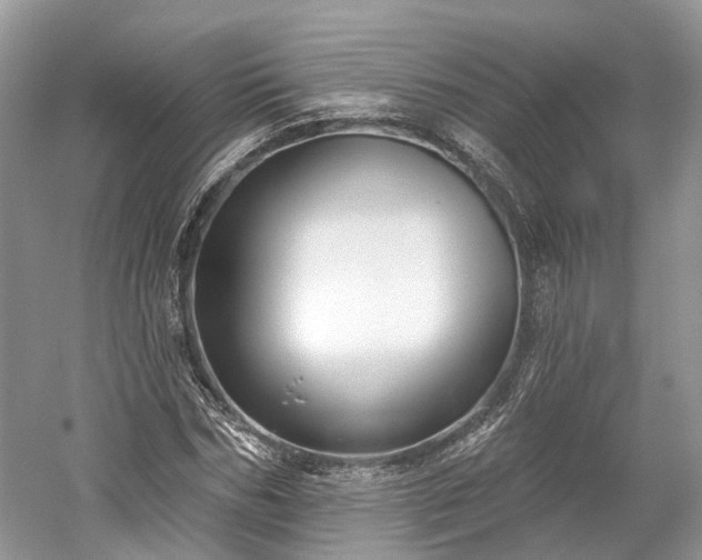 X0000059840970200510241433