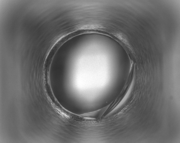 X0000059840976200510241433