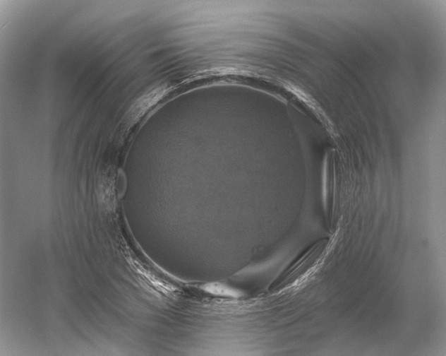 X0000059840977200510241433