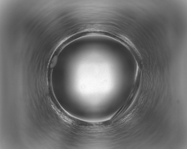 X0000059840980200510241433