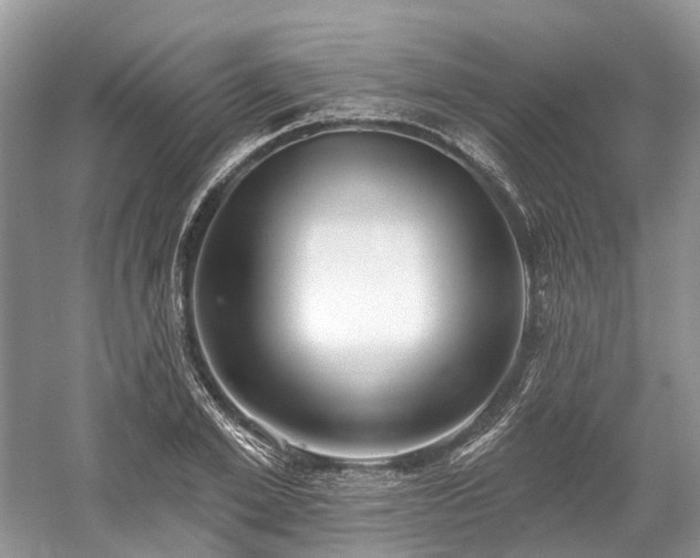 X0000059840981200510241433