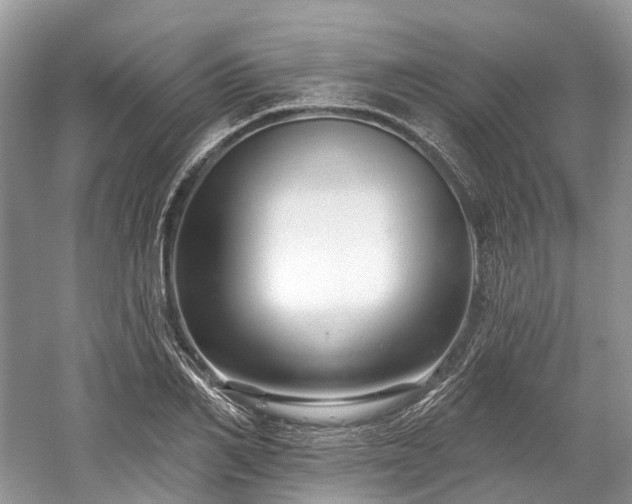 X0000059840982200510241433