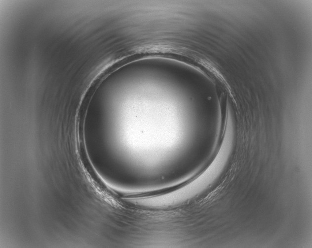 X0000059840984200510241433