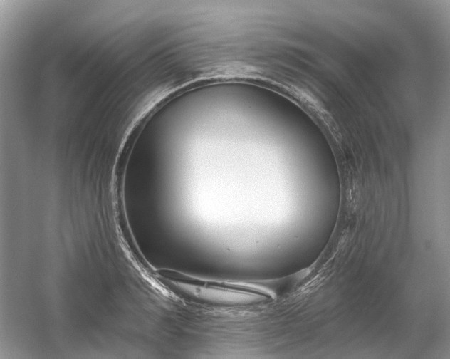 X0000059840990200510241433