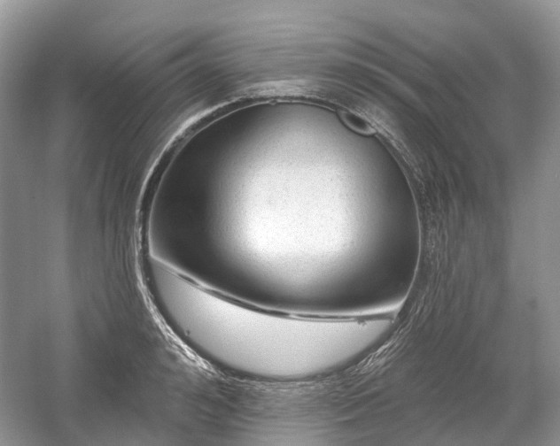 X0000059840992200510241433