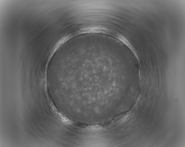 X0000059840994200510241433