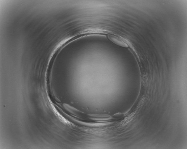 X0000059840995200510241433