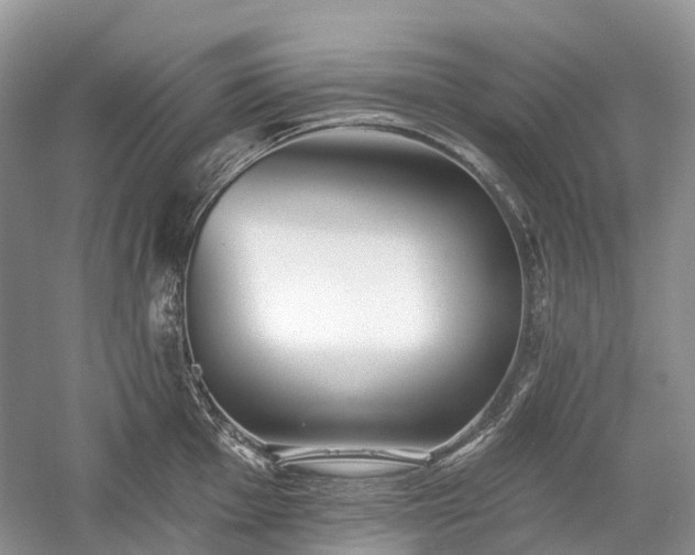 X0000059841001200510241433