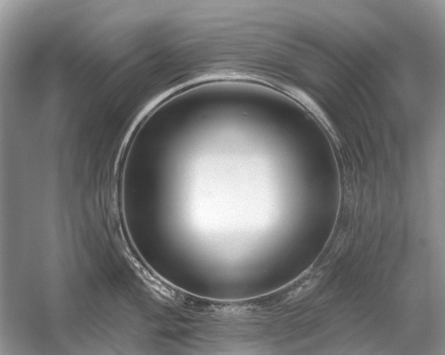 X0000059841004200510241433
