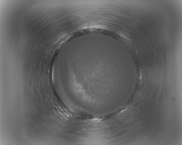 X0000059841014200510241432