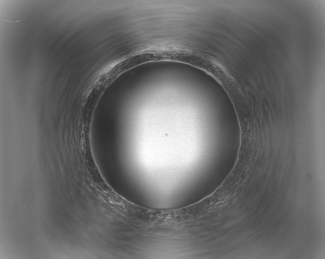 X0000059841016200510241432