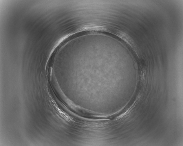 X0000059841022200510241432