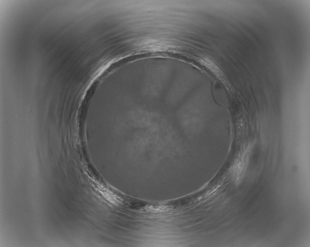 X0000059841023200510241432