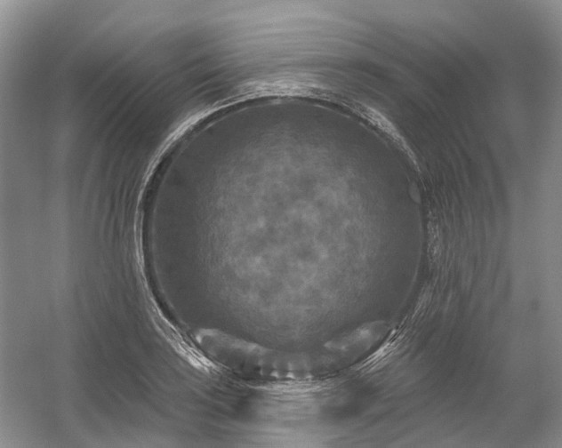 X0000059841035200510241432
