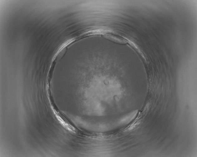 X0000059841042200510241432