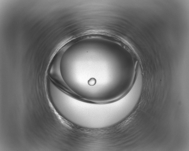 X0000059841050200510241432