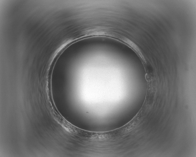 X0000059841051200510241432