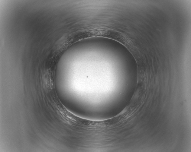 X0000059841058200510241432