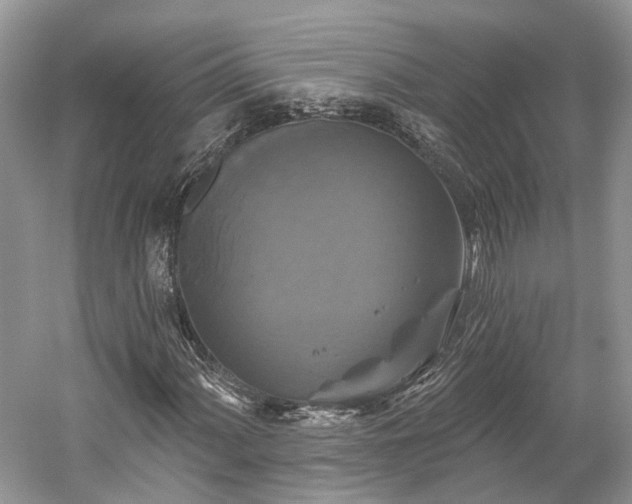 X0000059841060200510241432