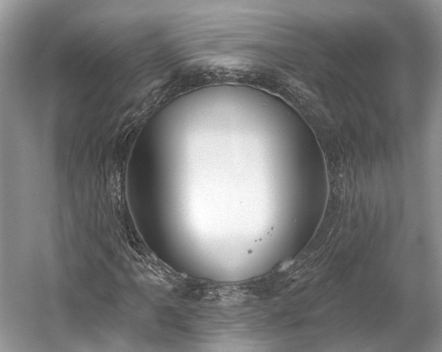X0000059841061200510241432