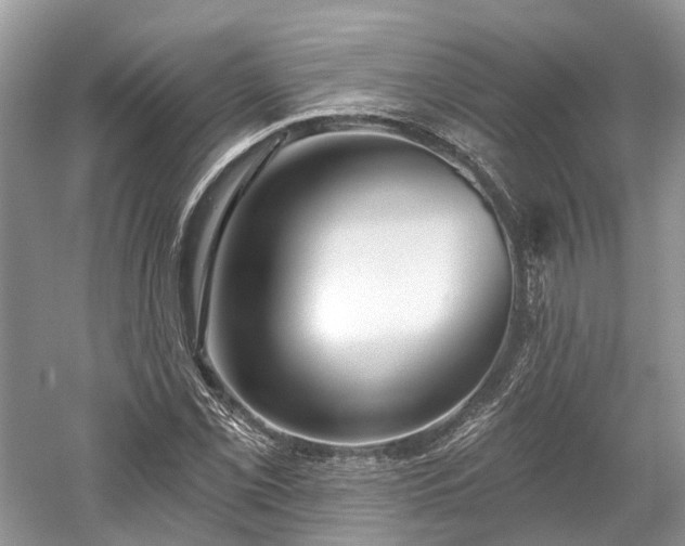 X0000059841069200510241431