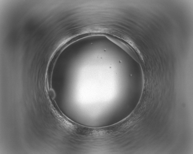 X0000059841080200510241431