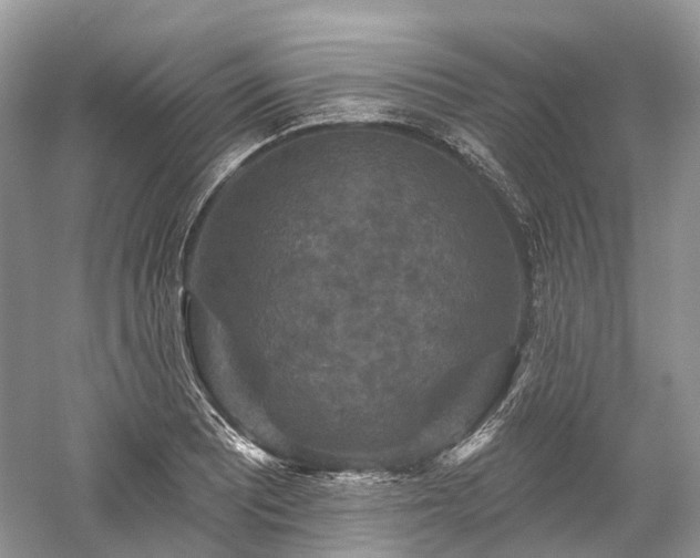 X0000059841081200510241431