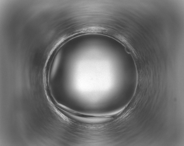 X0000059841083200510241431