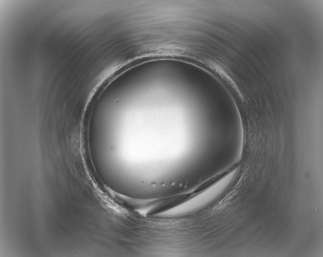 X0000059841085200510241431