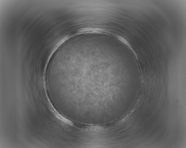 X0000059841090200510241431