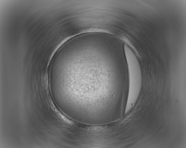 X0000059841092200510241431