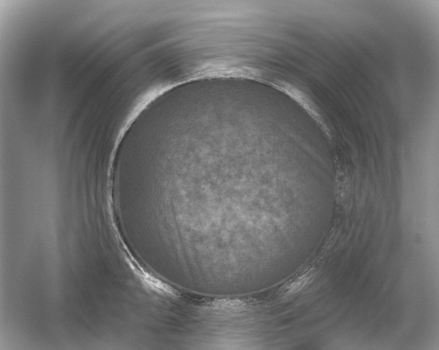 X0000059841094200510241431