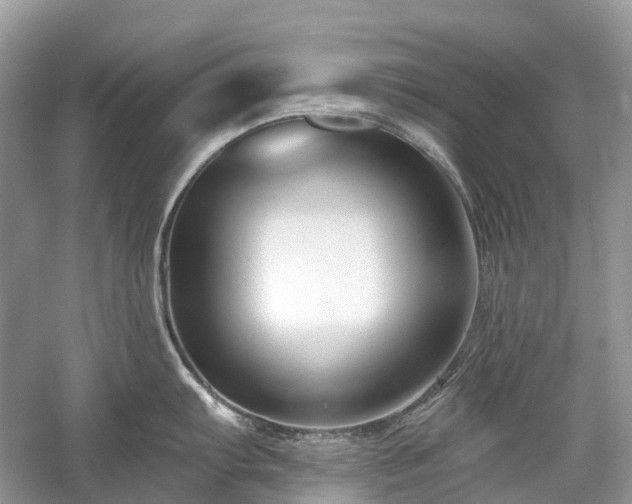 X0000059841103200510241431