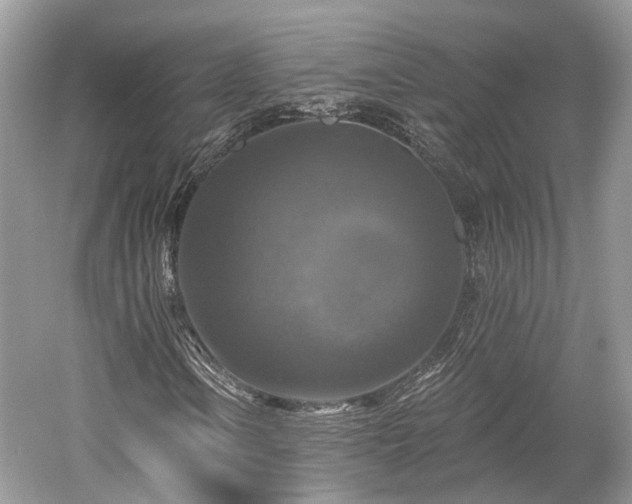 X0000059841106200510241430