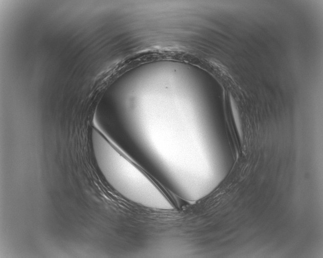 X0000059841110200510241430
