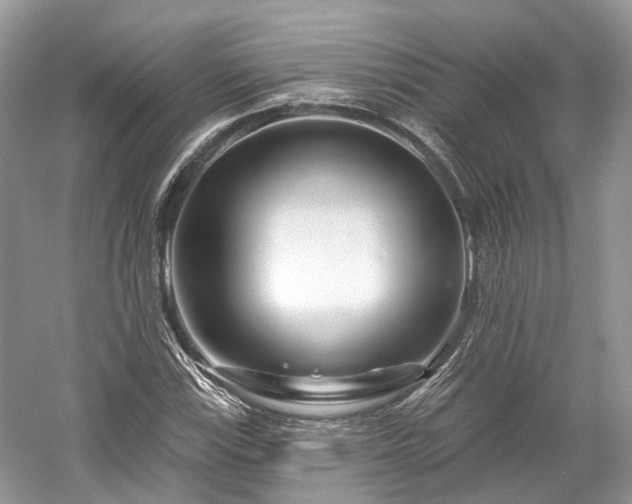 X0000059841115200510241430