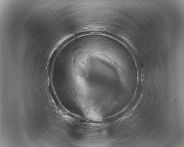 X0000059841117200510241430