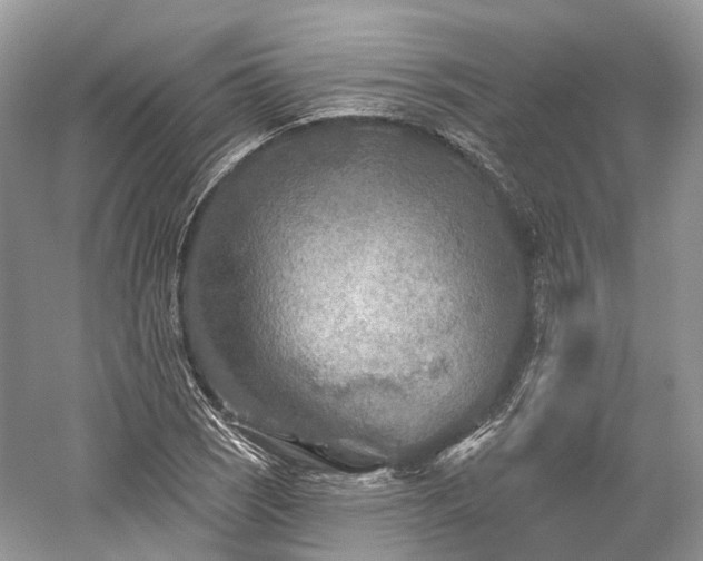X0000059841121200510241430
