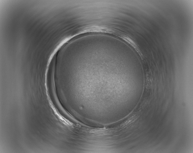 X0000059841128200510241430