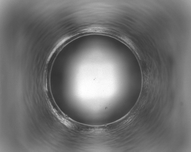 X0000059841131200510241431