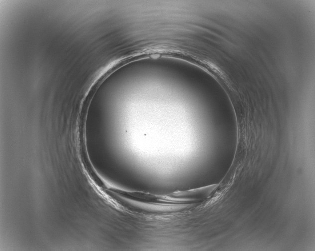 X0000059841134200510241431