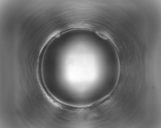 X0000059841139200510241431