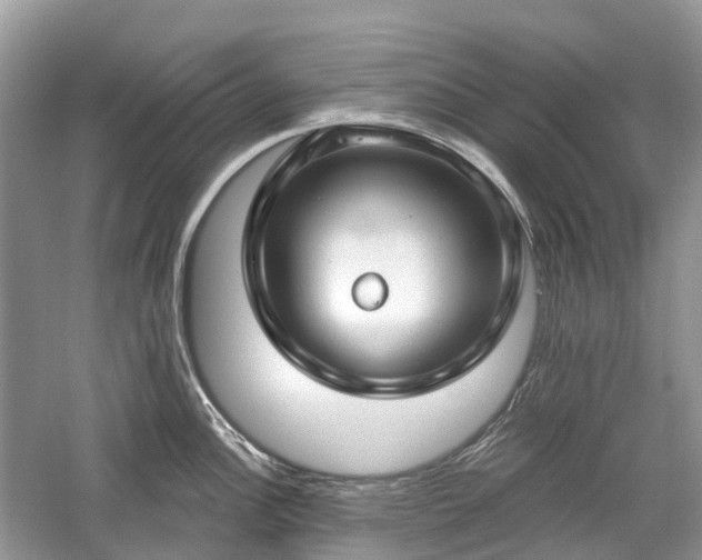 X0000059841148200510241431