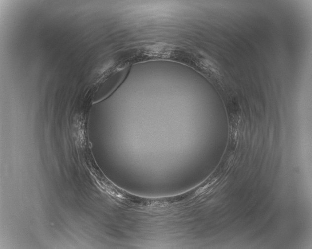 X0000059841154200510241430