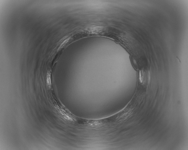 X0000059841155200510241430