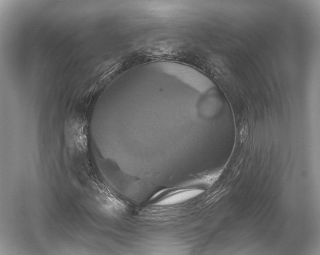 X0000059841156200510241430