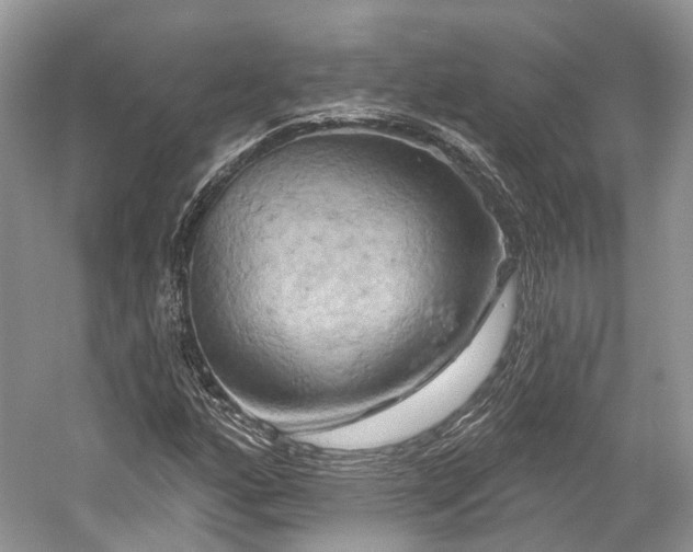 X0000059841160200510241430