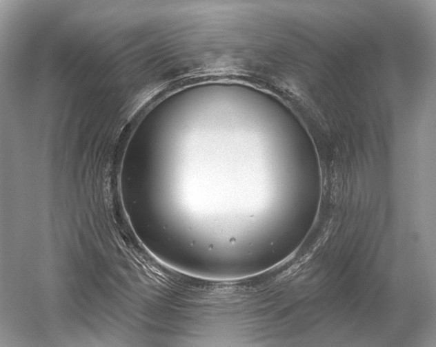 X0000059841162200510241430