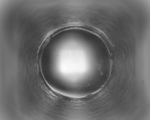 X0000059841168200510241430